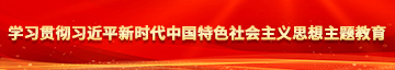 操美女逼逼大片学习贯彻习近平新时代中国特色社会主义思想主题教育